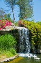 Waterfall and duck in Zoo of Los Angeles Royalty Free Stock Photo