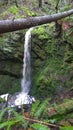 Waterfall in Enchanted Forest, South Pender Island.