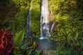 Waterfall and exotic plants in tropics. Cascade waterfall in tropical rainforest at Bali