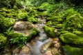 A Waterfall falling on stone with fresh green of plant inside forest Royalty Free Stock Photo