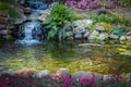 Waterfall and fern in garden with pool and koi Royalty Free Stock Photo