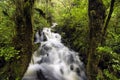 Waterfall in Fiordland National Park, South Island, New Zealand