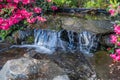 Waterfall And Flowers Closeup