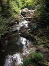 Waterfall flowing down past Huge Tree Roots Royalty Free Stock Photo