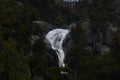 Waterfall surrounded by lush green trees