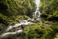 Waterfall flowing through green mold rocks
