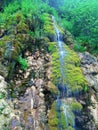 Forest waterfall streaming in The Caspian Hyrcanian forests , Iran Royalty Free Stock Photo