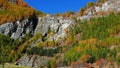 Waterfall flowing in idyllic uncontaminated environment crossing colorful pine and larch tree woodland, autumn colors on the Alps.