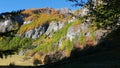 Waterfall flowing in idyllic uncontaminated environment crossing colorful pine and larch tree woodland, autumn colors on the Alps.