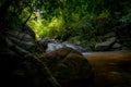 Waterfall is flowing in jungle. Waterfall in green forest. Mountain waterfall. Cascading stream in lush forest. Nature background