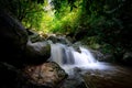 Waterfall is flowing in jungle. Waterfall in green forest. Mountain waterfall. Cascading stream in lush forest. Nature background Royalty Free Stock Photo