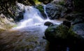 Waterfall is flowing in jungle. Waterfall in green forest. Mountain waterfall. Cascading stream in lush forest. Nature background Royalty Free Stock Photo