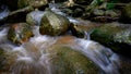 Waterfall is flowing in jungle. Waterfall in green forest. Mountain waterfall. Cascading stream in lush forest. Nature background Royalty Free Stock Photo