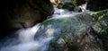 Waterfall is flowing in jungle. Waterfall in green forest. Mountain waterfall. Cascading stream in lush forest. Nature background Royalty Free Stock Photo