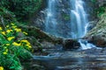 Waterfall flowing streams through rocks in forest with blurred water surface long exposure shot Royalty Free Stock Photo