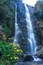 Waterfall flowing streams through rocks in forest with blurred water surface long exposure shot Royalty Free Stock Photo