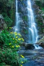 Waterfall flowing streams through rocks in forest with blurred water surface long exposure shot Royalty Free Stock Photo