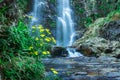 Waterfall flowing streams through rocks in forest with blurred water surface long exposure shot Royalty Free Stock Photo