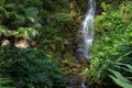 Waterfall flowing from lush forest