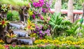 Waterfall flows in cozy home flower garden Royalty Free Stock Photo