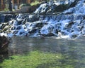 Waterfall flows, ducks are resting in the lake