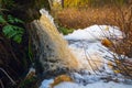 The waterfall foaming out of the pond in the fall. Royalty Free Stock Photo