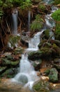 Waterfall in forest