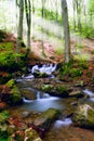 Cascada en Bosque 