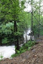 Waterfall In Forest