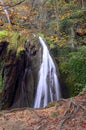 Waterfall in the forest of Altube, Alava, Basque Country, Spain Royalty Free Stock Photo