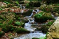 Waterfall in forest autumn view