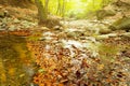 Waterfall, Forest, Autumn, Water, Sunny Day Royalty Free Stock Photo