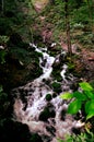 Waterfall in a forest close to Sohodol river Royalty Free Stock Photo