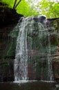 Waterfall in the forest