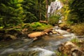 Waterfall in the forest, Deep forest waterfall in thailand Royalty Free Stock Photo