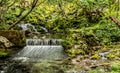 Waterfall in forest