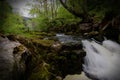 Waterfall in Forest