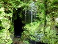 Waterfall in forest in front of rock cave with stream and moss and farn Royalty Free Stock Photo