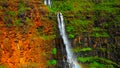 Waterfall in the forest in hawaii || A towering Akaka Falls in Hilo, Hawaii cascades 400 feet to a natural pool Royalty Free Stock Photo