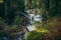 A waterfall in a forest Royalty Free Stock Photo