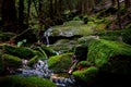 Waterfall in the dark forest. moss covered rocks in the mountain. Royalty Free Stock Photo