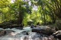 Waterfall in forest