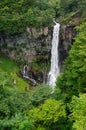 Waterfall in the forest landscape. Kegon falls in Nikko, Japan Royalty Free Stock Photo