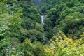 Waterfall in the forest landscape. Kegon falls in Nikko, Japan Royalty Free Stock Photo