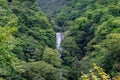 Waterfall in the forest landscape. Kegon falls in Nikko, Japan Royalty Free Stock Photo