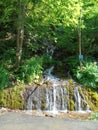 A waterfall in forest