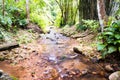 Waterfall in the forest at Mae Kampong, Chiang Mai, Thailand Royalty Free Stock Photo