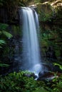 Waterfall in the forest or motion of water at brook of water fall. with tree leaf and stone rock. at Spun or Span Nan province, Th Royalty Free Stock Photo
