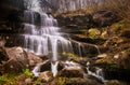 Waterfall in a forest on mountain