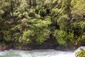 Waterfall in the forest at Okere Falls. Royalty Free Stock Photo